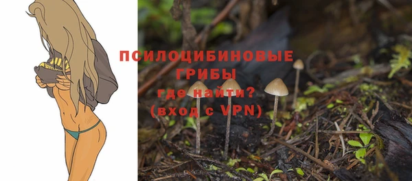 прущая мука Володарск