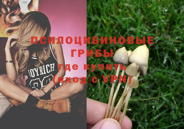 прущая мука Володарск