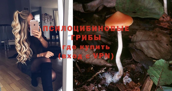 тгк Волоколамск
