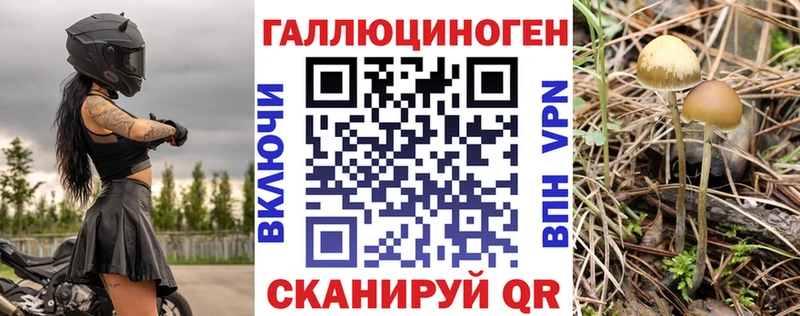 Галлюциногенные грибы прущие грибы  Дальнереченск 