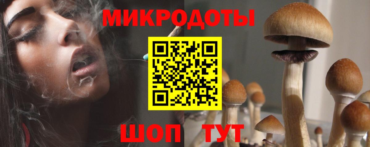 где найти   Вход с VPN  Дальнереченск  Псилоцибиновые грибы Psilocybine cubensis 